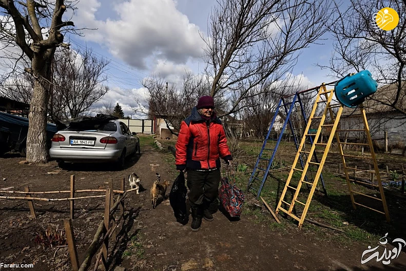 (تصاویر) داستان پیرزن اوکراینی و مرغهایش